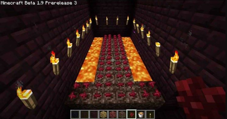 Create the best conditions to grow Nether War