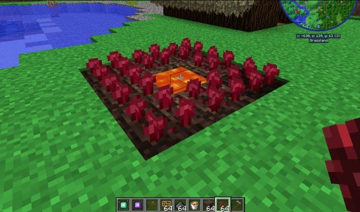 Plant Nether Wart