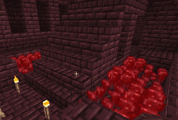 Where To Find Nether Wart