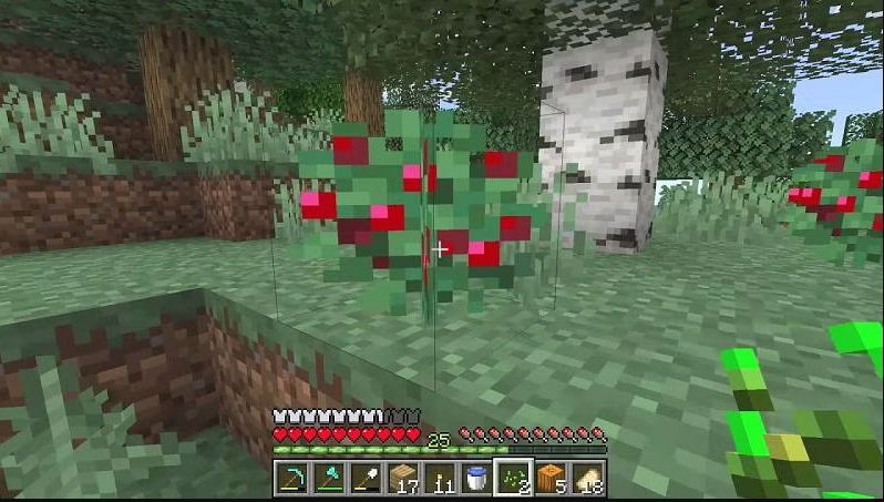 Requirements to Tame a Fox in Minecraft